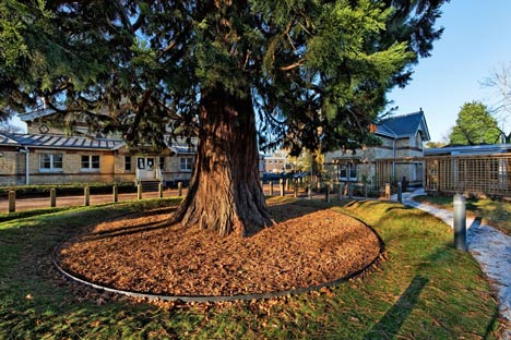 Maggie's Centre Cheltenham by MJP Architects