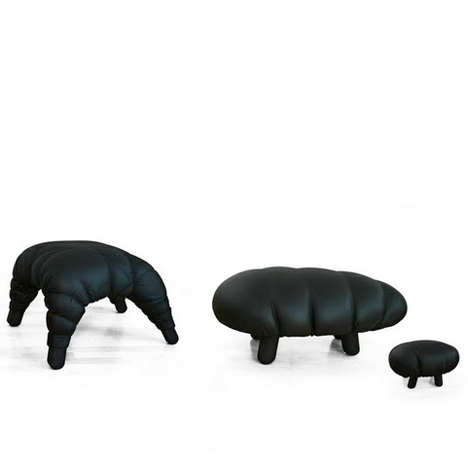Succession by Fredrik Farg