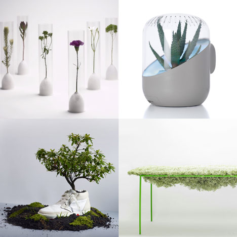 Dezeen archive: plants