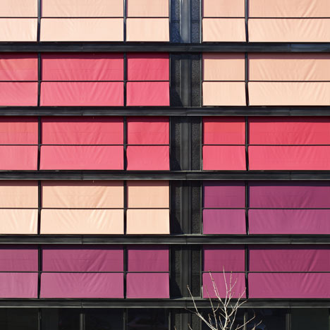 Coral House by Group8
