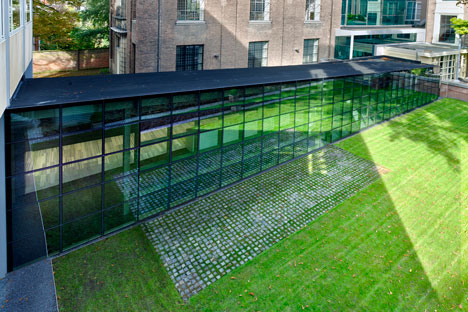 KIVI NIRIA Foyer by AAArchitects