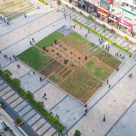 Landgrab City