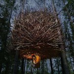 The Bird's Nest by Inrednin Gsgruppen