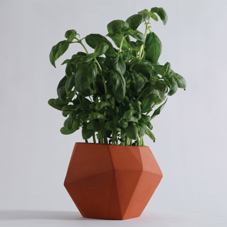 Herb by Nick Fraser