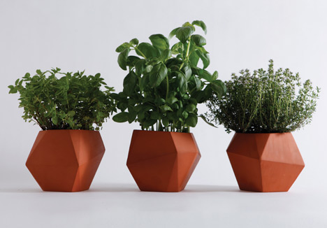 Herb by Nick Fraser Herb by Nick Fraser