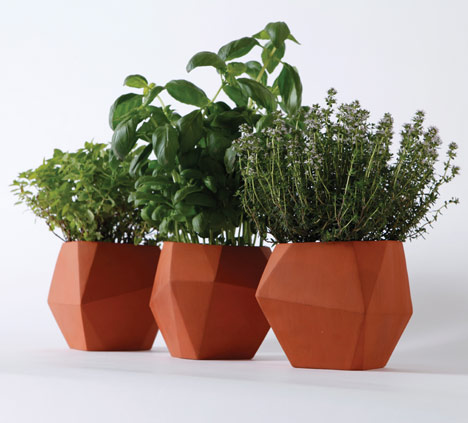 Herb by Nick Fraser Herb by Nick Fraser