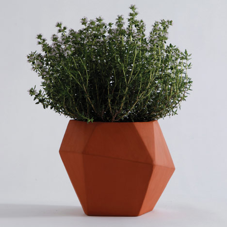 Herb by Nick Fraser4 Herb by Nick Fraser