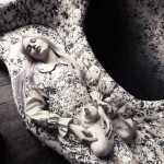 Dalston Rose by House of Hackney