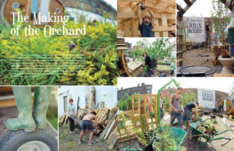 Urban Orchard Urban Orchard