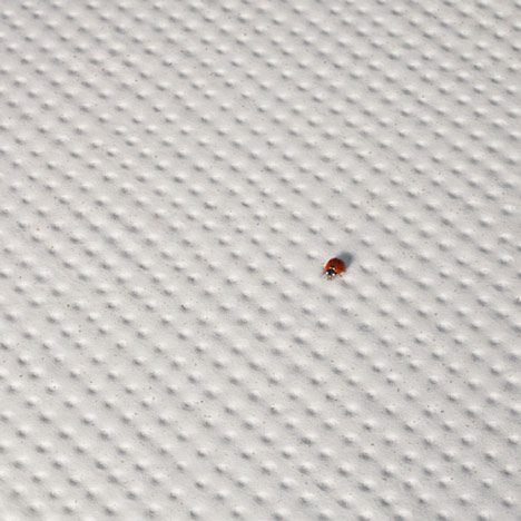 Pico by Ronan & Erwan Bouroullec for Mutina Pico by Ronan & Erwan Bouroullec for Mutina
