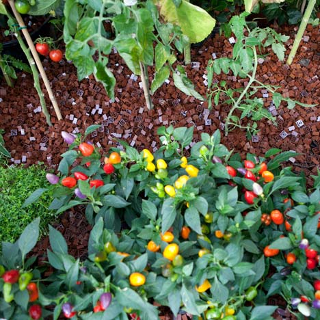 Lego Greenhouse by Sebastian Bergne