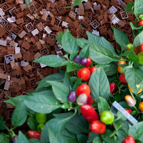Lego Greenhouse by Sebastian Bergne