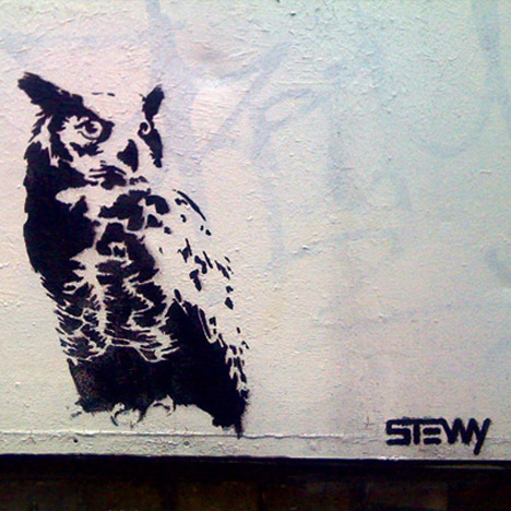 stewy