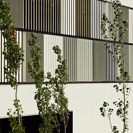 Castellbisbal School by MMDM Arquitectes