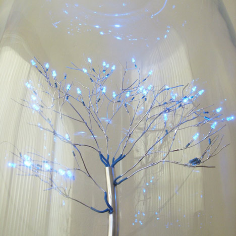 Today at Dezeen Platform: Fraser Ross Today at Dezeen Platform: Fraser Ross