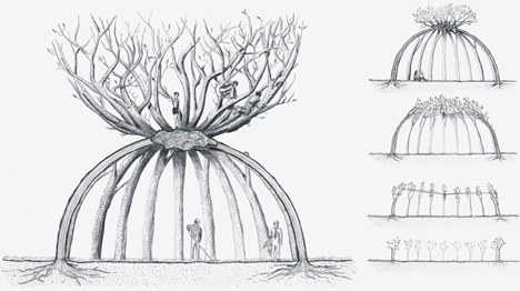 The Patient Gardener by Visiondivision The Patient Gardener by Visiondivision