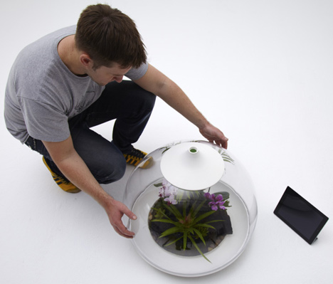 Biome by Samuel Wilkinson