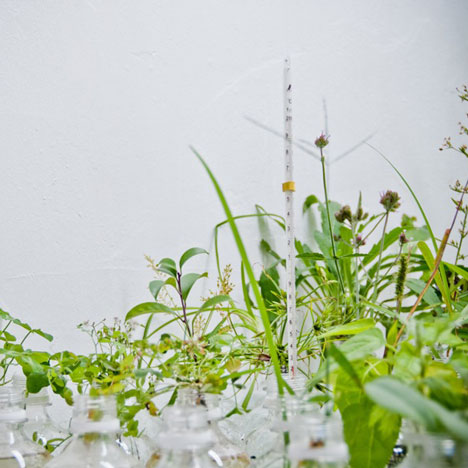 On-iku by Earthscape On-iku by Earthscape