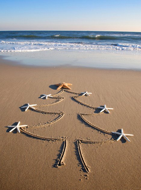 Christmas cards from our readers Christmas cards from our readers