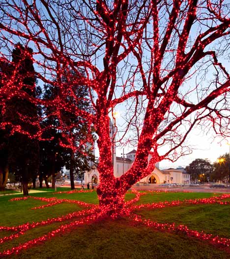 Lisbon Christmas Lights by Pedro Sottomayor, José Adrião and ADOC