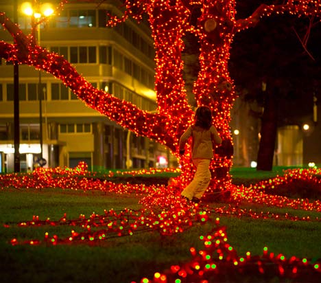 Lisbon Christmas Lights by Pedro Sottomayor, José Adrião and ADOC