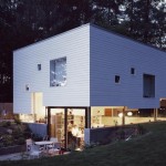 Dezeen_Haus W by Kraus Schoenberg