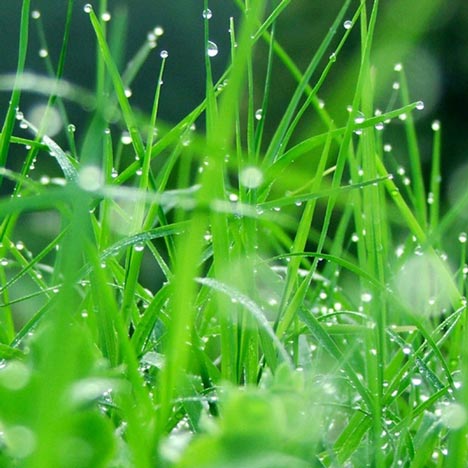 Fresh by Victor Vetterlein Fresh by Victor Vetterlein