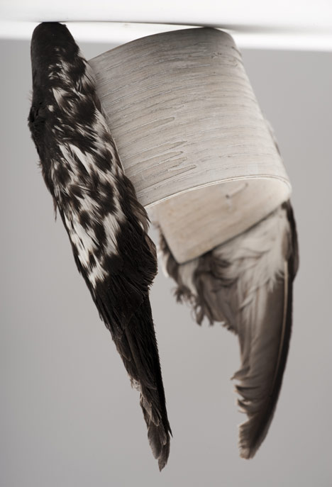 Field Dressing by Sruli Recht Field Dressing by Sruli Recht