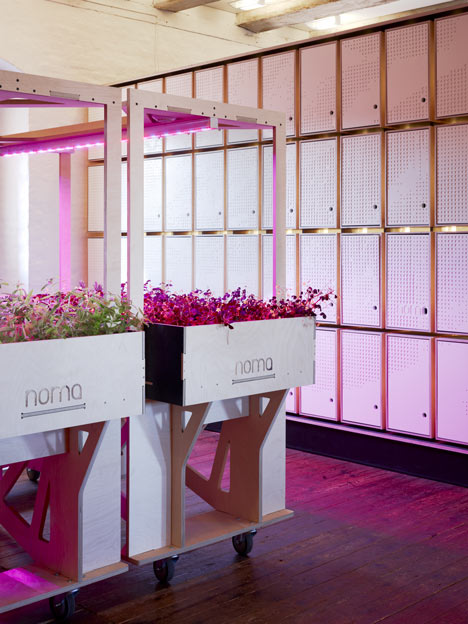 Noma FoodLab by 3XN