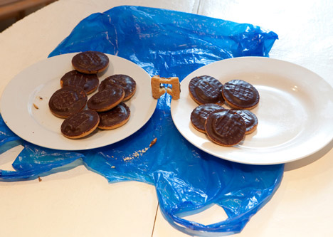 I nibbled Britain out of Jaffa Cakes by Dominic Wilcox