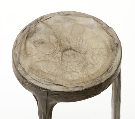 Xylinum by Jannis Hülsen Xylinum by Jannis Hülsen