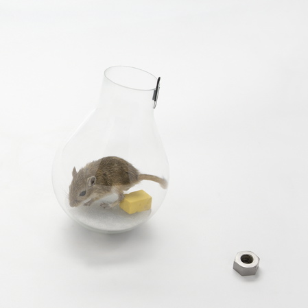 Designed in Hackney: Non-lethal mousetraps by Roger Arquer