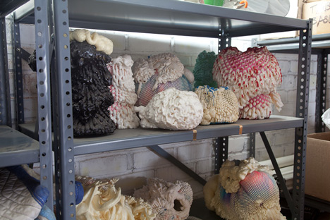 Paper View by Sight Unseen for Unfiltered Paper View by Sight Unseen for Unfiltered