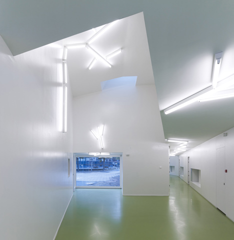Galjoen School by Rocha Tombal Galjoen School by Rocha Tombal