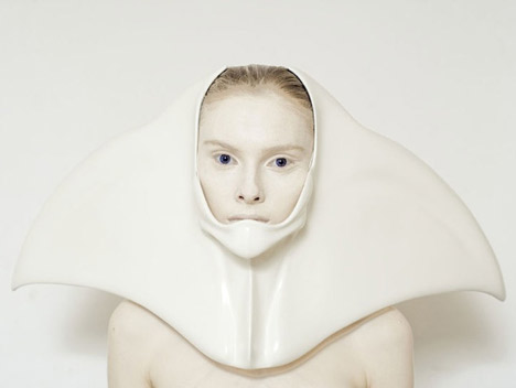 Animal: The Other Side of Evolution by Ana Rajcevic