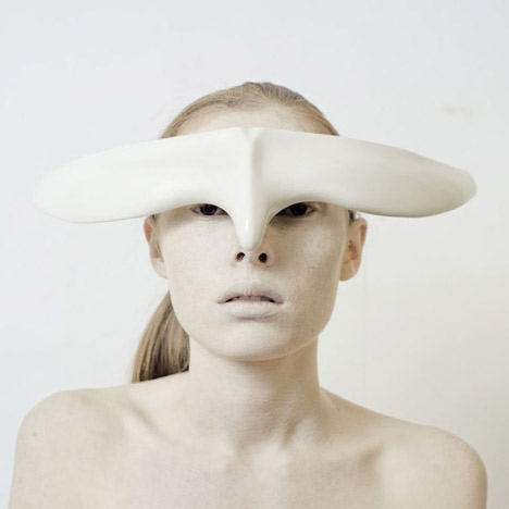 Animal: The Other Side of Evolution by Ana Rajcevic