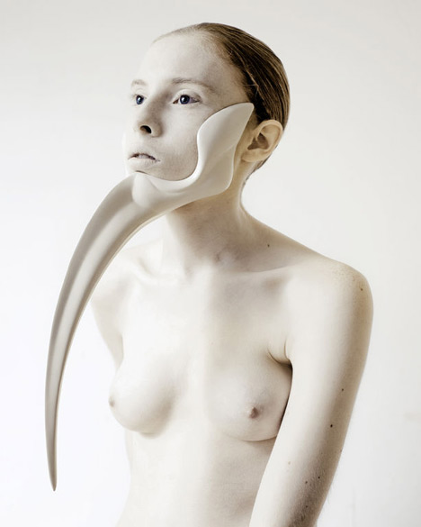 Animal: The Other Side of Evolution by Ana Rajcevic