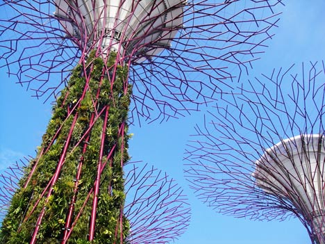 Gardens By The Bay by Grant Associates and Wilkinson Eyre