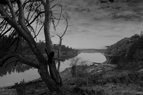 Hönshus-1 by Torsten Ottesjö Hönshus-1 by Torsten Ottesjö