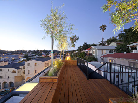 Eels Nest by Anonymous Architects Eels Nest by Anonymous Architects