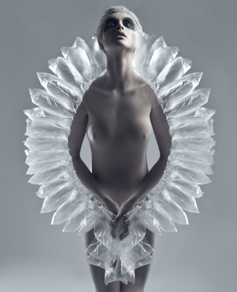 Airborne by Stephanie Van Zwam Airborne by Stephanie Van Zwam