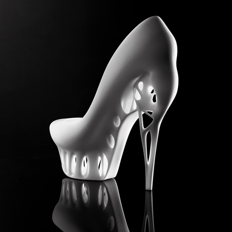Biomimicry shoe by Marieka Ratsma Biomimicry shoe by Marieka Ratsma