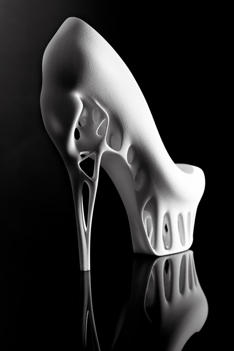 Biomimicry shoe by Marieka Ratsma Biomimicry shoe by Marieka Ratsma