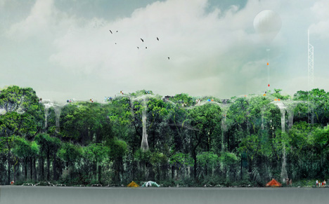 Explorative Canopy Trail by Yvonne Weng Explorative Canopy Trail by Yvonne Weng