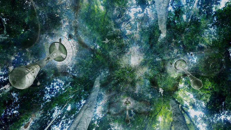 Explorative Canopy Trail by Yvonne Weng