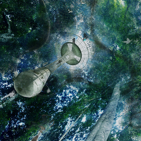 Explorative Canopy Trail by Yvonne Weng