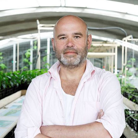 Guus Beumer photographed by Philip Driessen