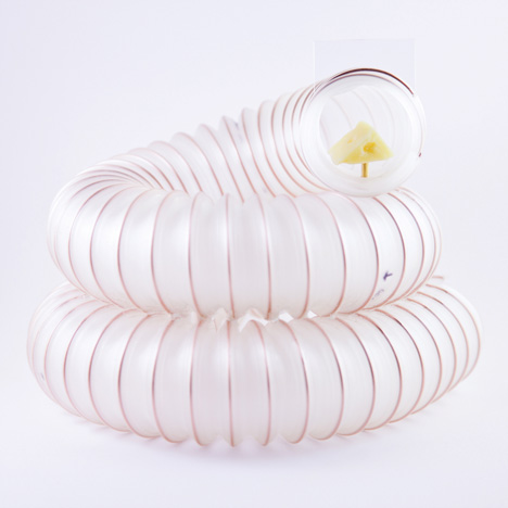 Mousetraps by Johanna Schmeer Mousetraps by Johanna Schmeer