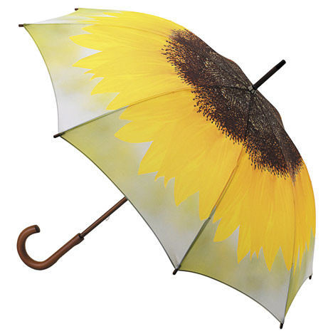 Umbrellas by Ella Doran