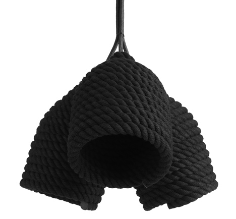 Acorn by Vasiliy Butenko Acorn by Vasiliy Butenko